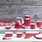 Preview: Riess Schnabeltopf mit Stiel, Country Pünktchen Rot